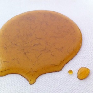 cera-1x1