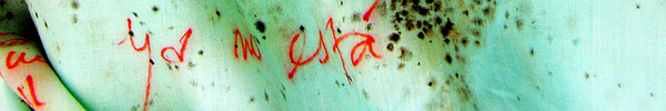 09-invadir-ch-web