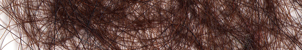 09-poema-ch-web