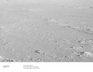 portafolio-arte-19