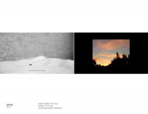 portafolio-arte-5